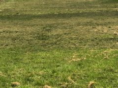 -东方巨龟苑景区