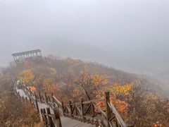 -大岭沟猕猴桃谷风景区