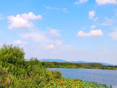 -南湖湿地公园