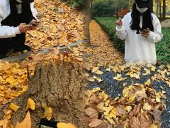 -河南省黄河迎宾馆