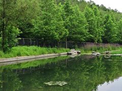 -白水寺森林公园