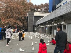 -绵阳人民公园(涪城区)