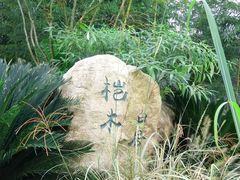 -桤木河湿地公园