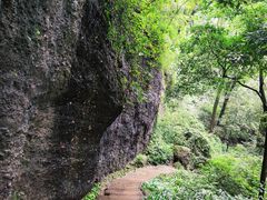 -青城山