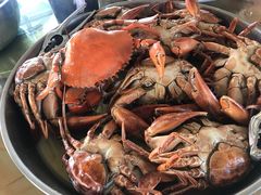 -大湾区中央湿地公园-十九涌