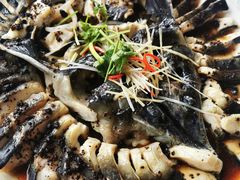 -京北渔家傲