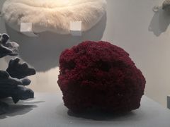 -湖南省地质博物馆