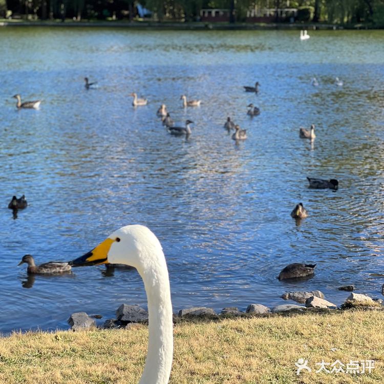 闹市中的仙境 零距离动物世界