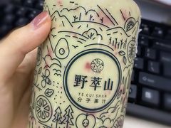 -野萃山·潮汕厚果汁(十亩地店)