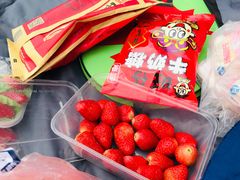 -艾溪湖湿地公园