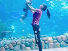 -华夏文旅海洋公园