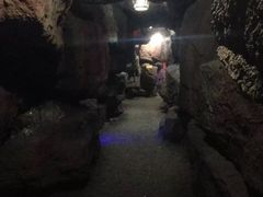 -游龙石文化科普馆