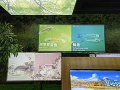 -华侨城湿地公园