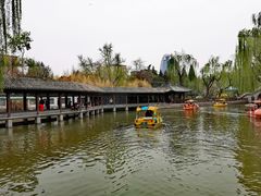 -团结湖公园