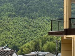 -宁波浙东大竹海景区