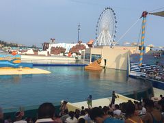 -秦皇岛乐岛海洋王国