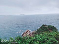 -杨梅坑