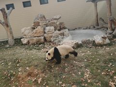 -石家庄市动物园