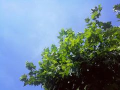 -同济大学(嘉定校区)