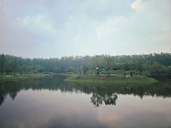 -合肥滨湖国家森林公园