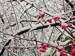 -杭州半山国家森林公园