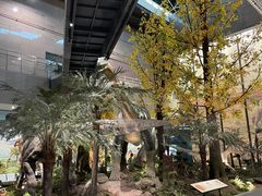 -湖南省地质博物馆