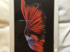 -Apple 零售店(Causeway Bay)