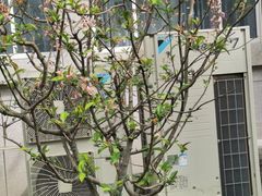 -上海市普陀区中心医院