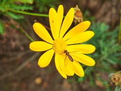 -巴黎贝甜(浦东大华店)