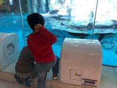 -帝企鹅自助餐厅•儿童岛•真企鹅(长隆企鹅酒店)