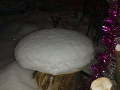 -五营红松林海景区