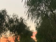 -滨湖塘西河公园