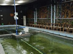 -光头佬室内钓虾场·烧烤·团建·亲子(中山八路店)