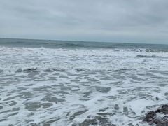 -硇洲岛旅游区