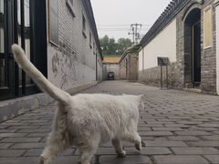 -北京鲁迅博物馆(北京新文化运动纪念馆鲁博馆区)