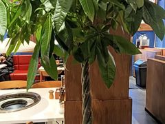 -木王宴语·野生鲜菌火锅(玉河店)