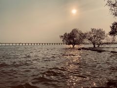 -宝安西湾红树林湿地公园