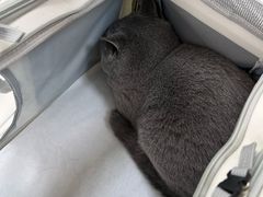 -美美宠物诊疗中心·异宠·骨科(滨江东信分院)