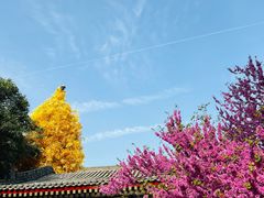 -西安市广仁寺
