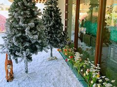 -天空花园餐吧·生日·团建(南山店)