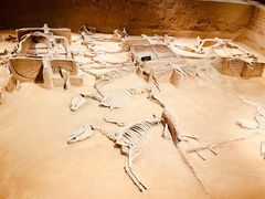 -洛阳周王城天子驾六博物馆