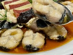 -圆苑(静安寺店)