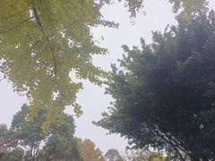 -富乐山