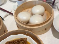 -金悦轩海鲜城(渔人码头店)