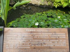 -中国科学院西双版纳热带植物园