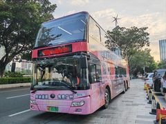 -广州都市观光巴士(粤陶巴)