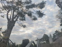 -广州雕塑公园