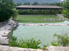 -红山森林动物园