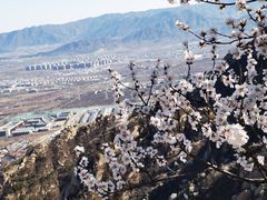 -北京凤凰岭