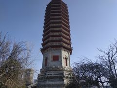 -西海子公园
